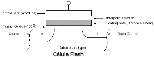 fig1a