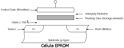 fig1b