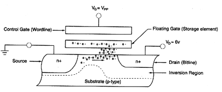 fig2